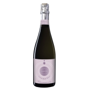 Bollicine franciacorta - 